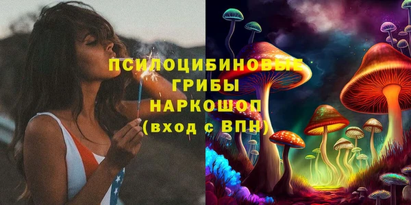 ПСИЛОЦИБИНОВЫЕ ГРИБЫ Медногорск
