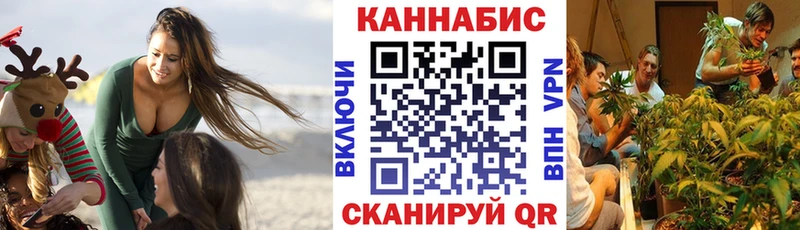 darknet клад  Судогда  Марихуана SATIVA & INDICA  даркнет сайт 
